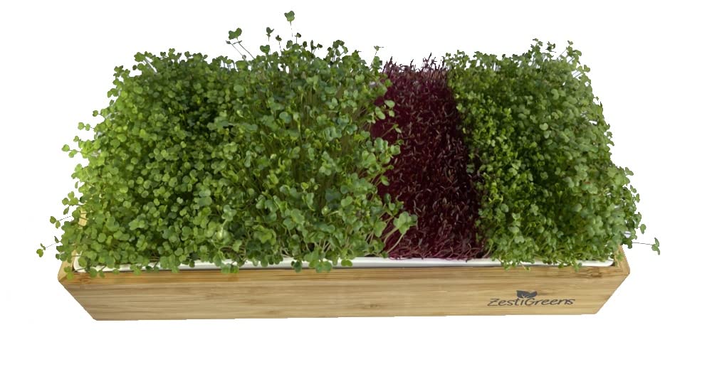 9-Seed Microgreens Refill Set