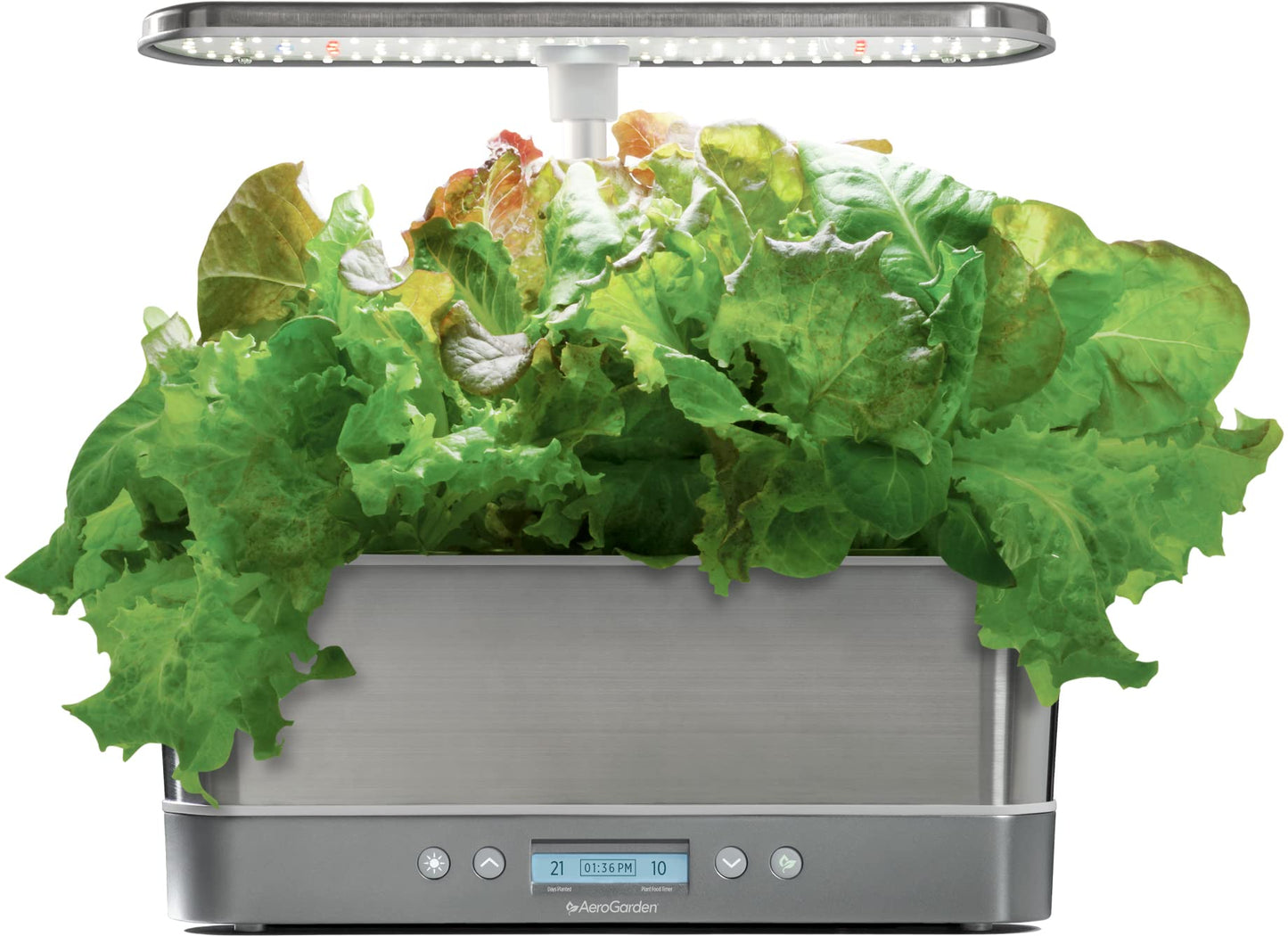 Elite Indoor Hydroponic System