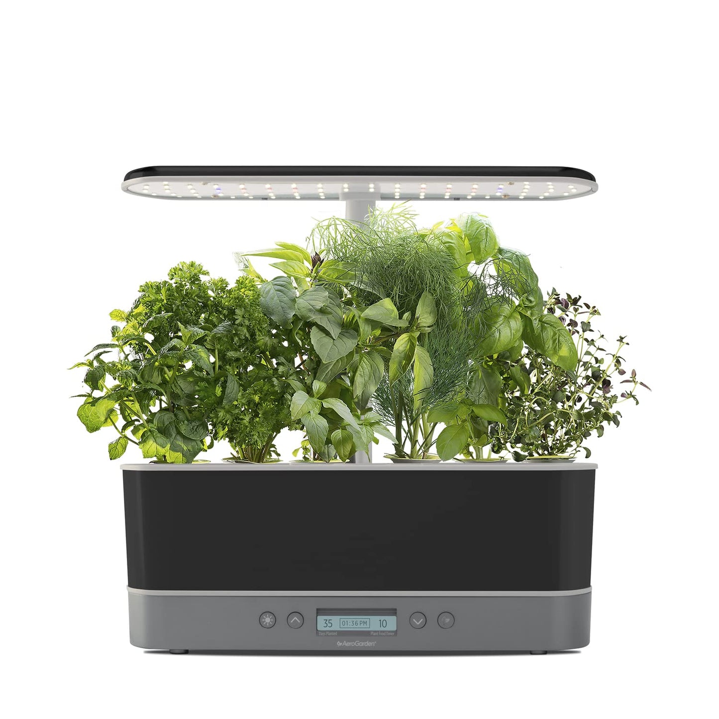 Elite Indoor Hydroponic System