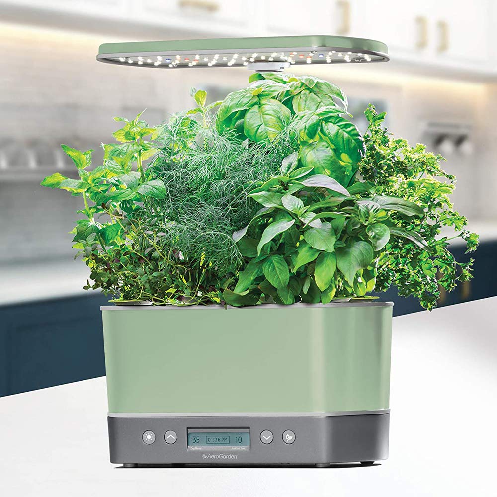 Elite Indoor Hydroponic System