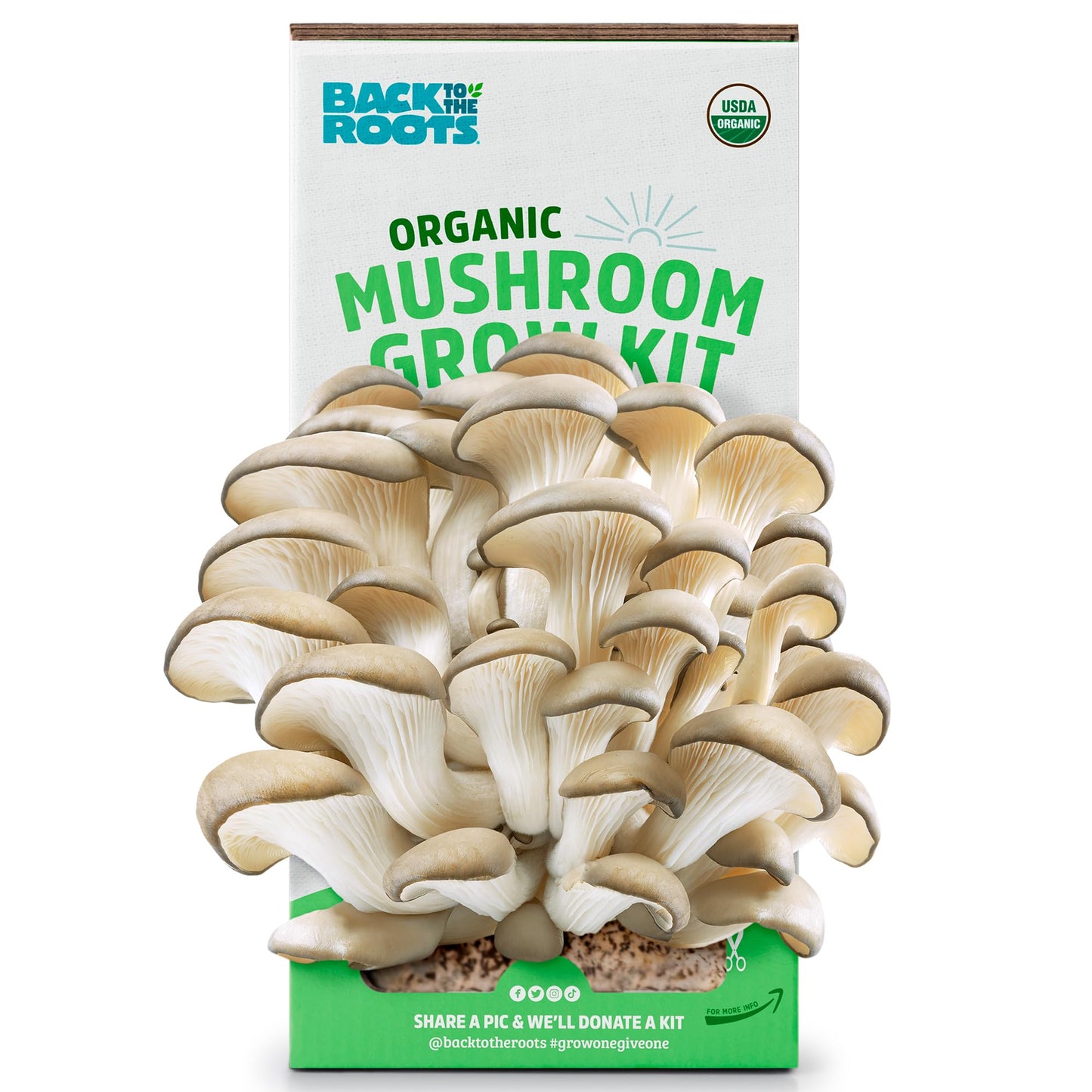 Organic Mini Mushroom Grow Kit, Harvest Gourmet Oyster Mushrooms In 10 days, Top Gardening Gift, Holiday Gift, & Unique Gift