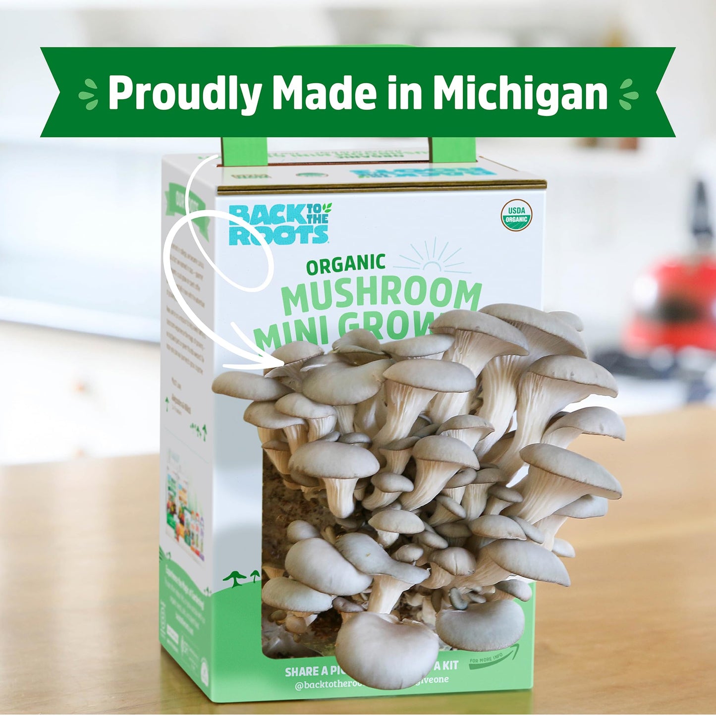 Organic Mini Mushroom Grow Kit, Harvest Gourmet Oyster Mushrooms In 10 days, Top Gardening Gift, Holiday Gift, & Unique Gift