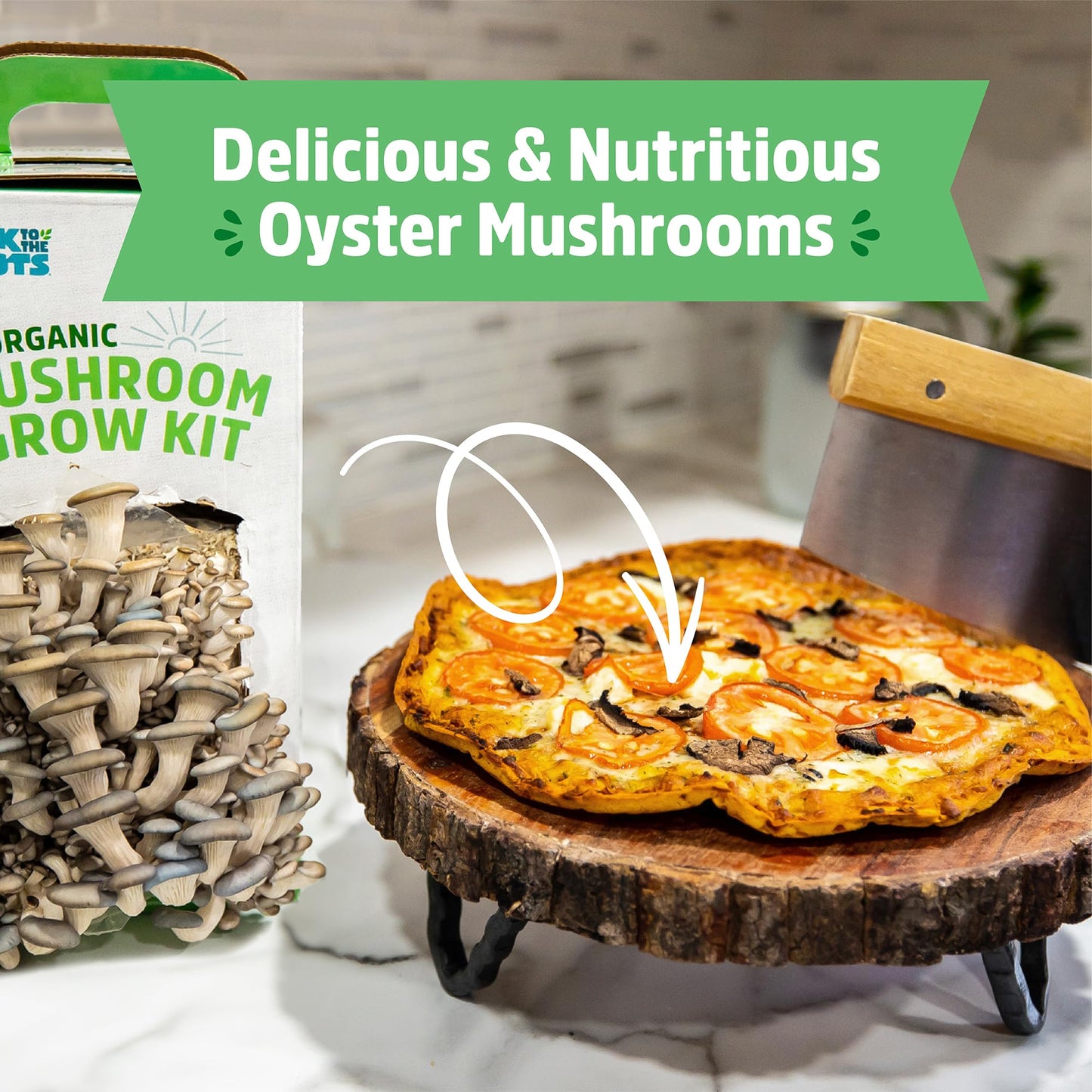 Organic Mini Mushroom Grow Kit, Harvest Gourmet Oyster Mushrooms In 10 days, Top Gardening Gift, Holiday Gift, & Unique Gift