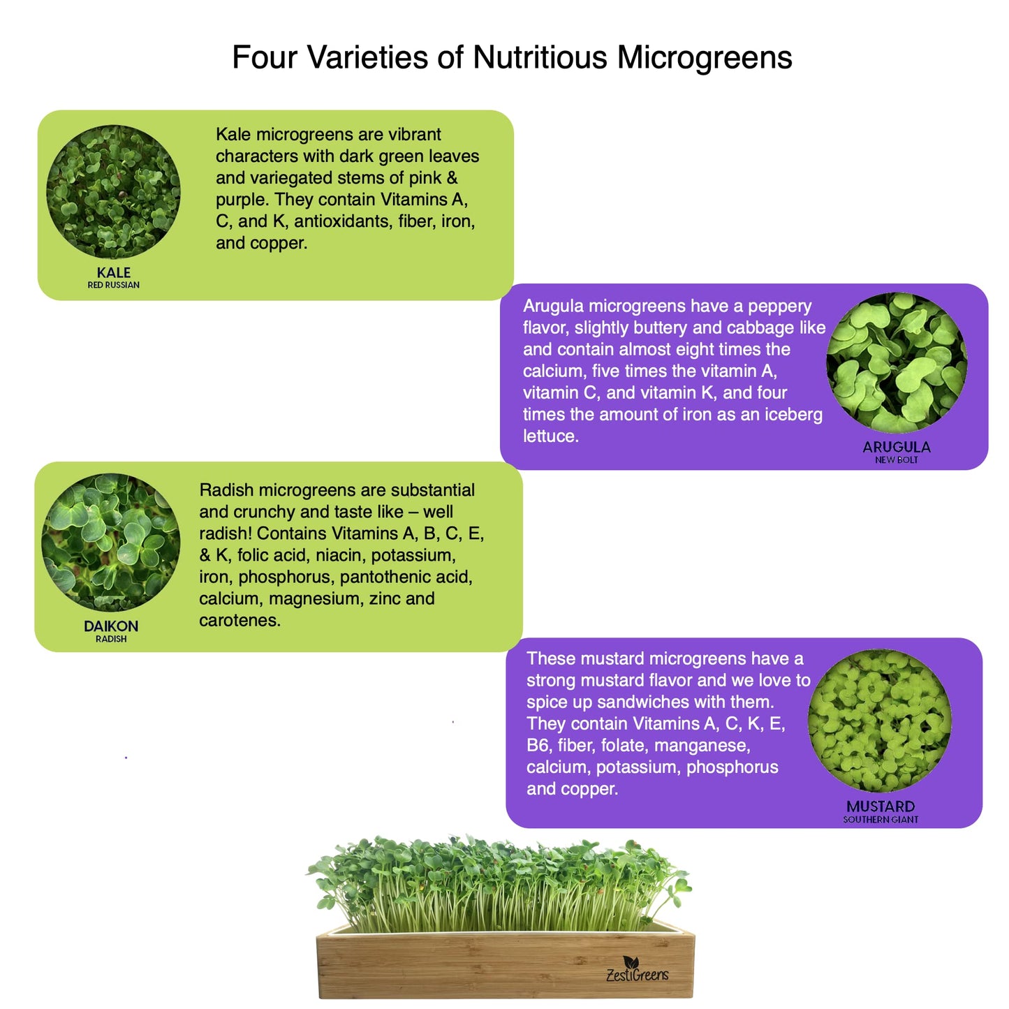 9-Seed Microgreens Refill Set