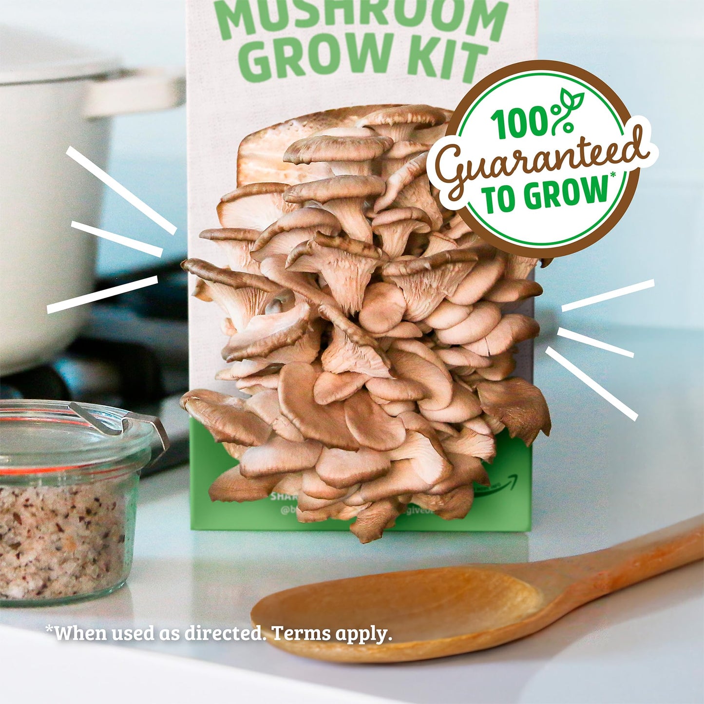 Organic Mini Mushroom Grow Kit, Harvest Gourmet Oyster Mushrooms In 10 days, Top Gardening Gift, Holiday Gift, & Unique Gift