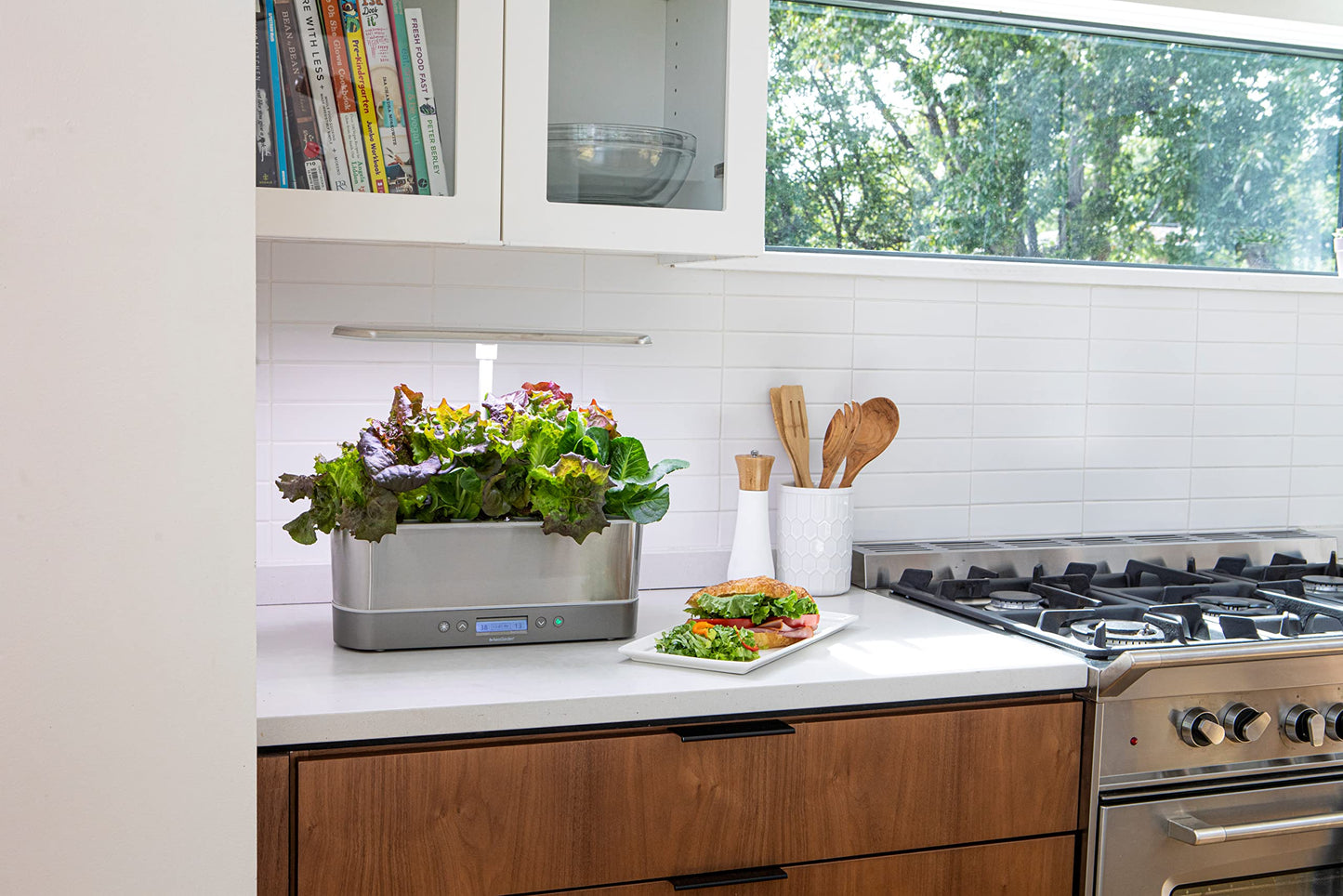 Elite Indoor Hydroponic System