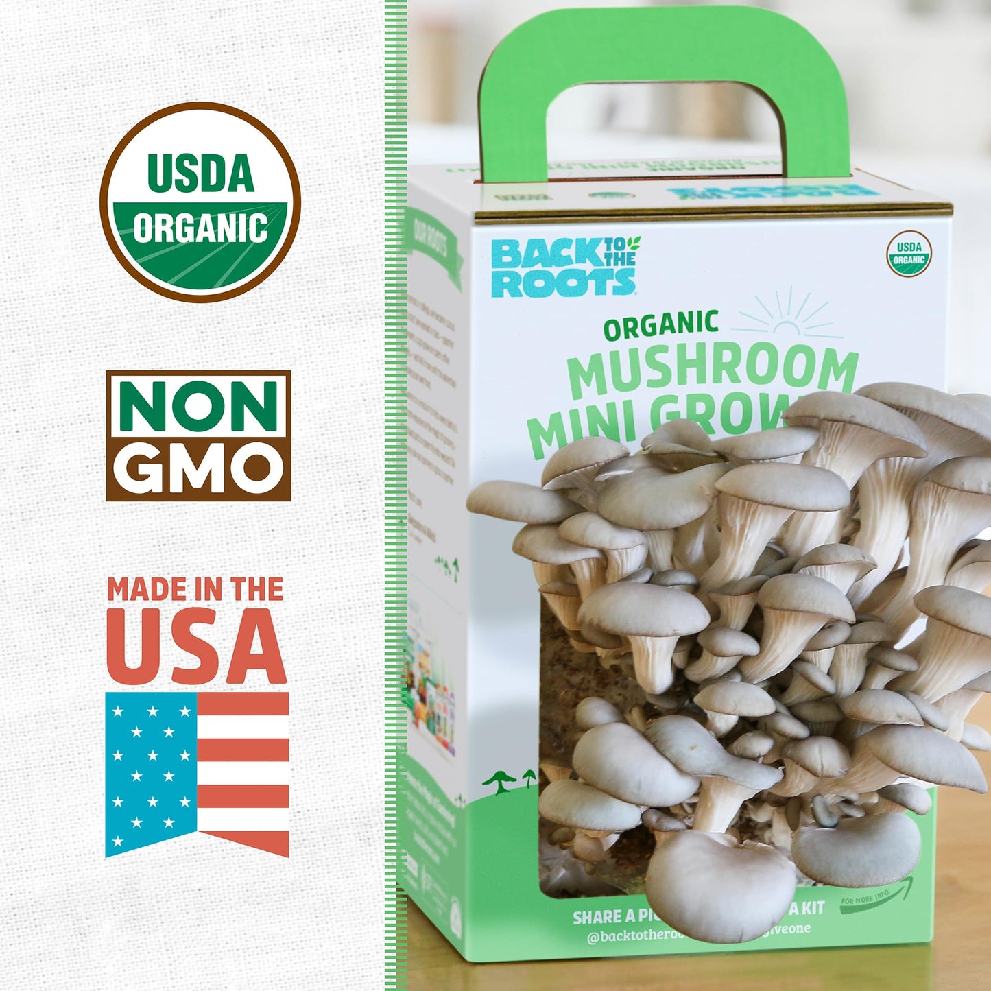 Organic Mini Mushroom Grow Kit, Harvest Gourmet Oyster Mushrooms In 10 days, Top Gardening Gift, Holiday Gift, & Unique Gift