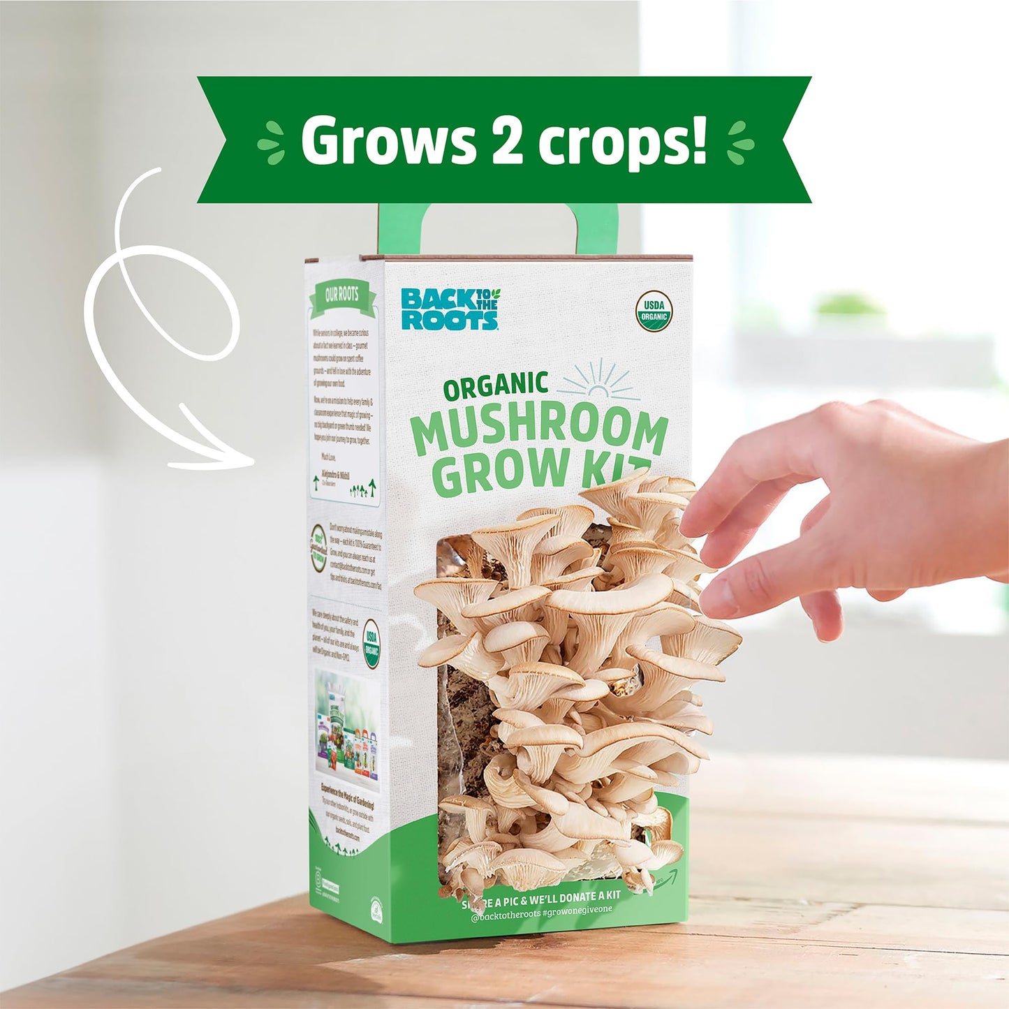 Organic Mini Mushroom Grow Kit, Harvest Gourmet Oyster Mushrooms In 10 days, Top Gardening Gift, Holiday Gift, & Unique Gift