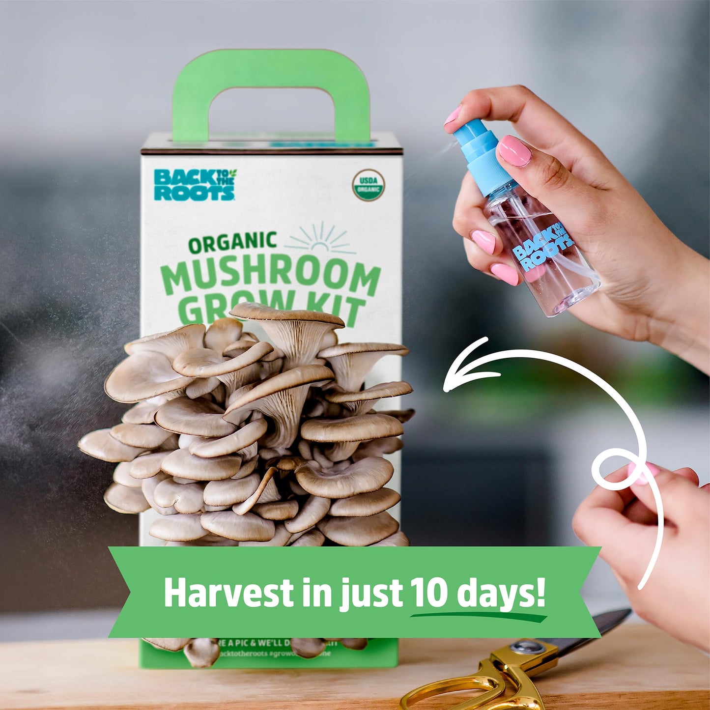 Organic Mini Mushroom Grow Kit, Harvest Gourmet Oyster Mushrooms In 10 days, Top Gardening Gift, Holiday Gift, & Unique Gift