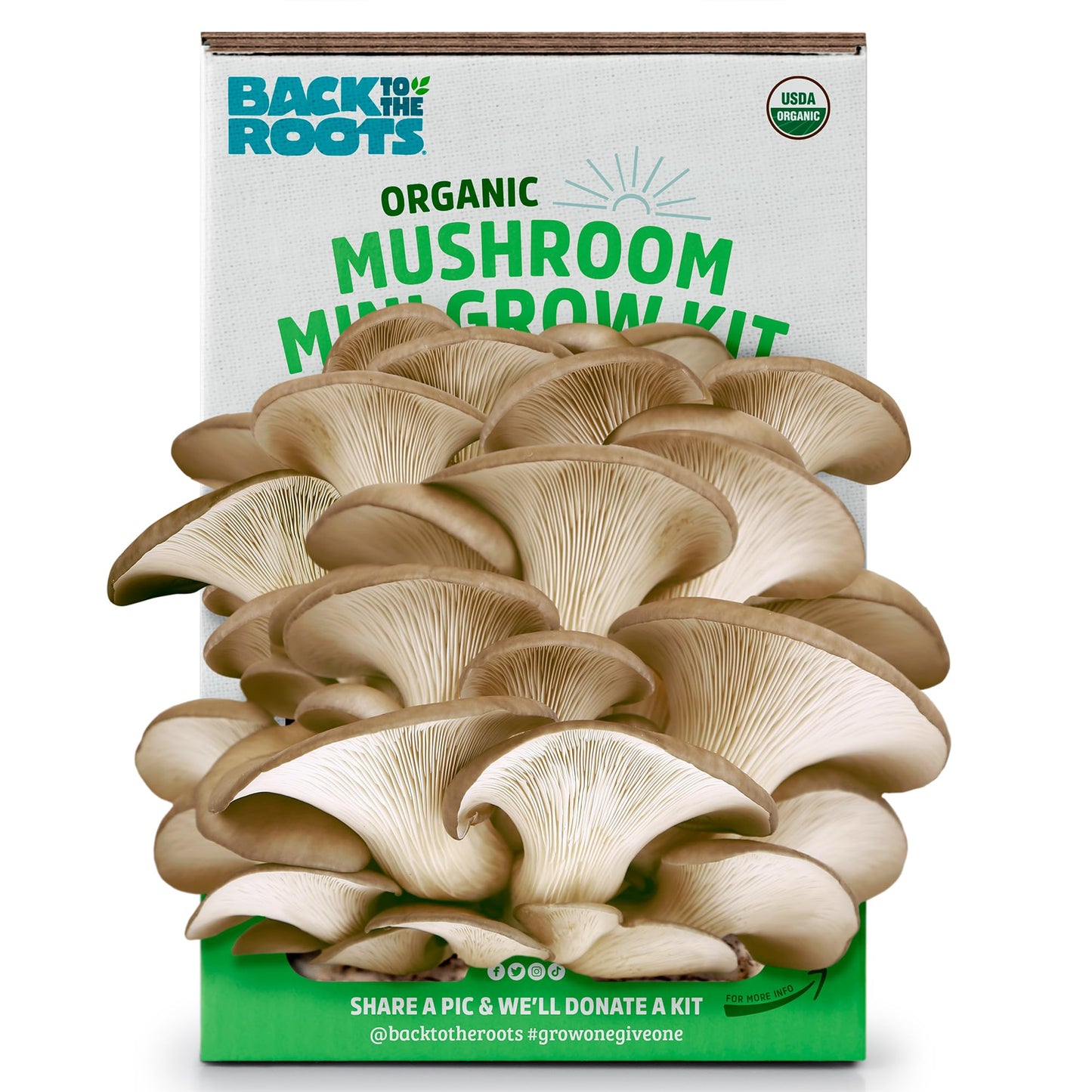 Organic Mini Mushroom Grow Kit, Harvest Gourmet Oyster Mushrooms In 10 days, Top Gardening Gift, Holiday Gift, & Unique Gift