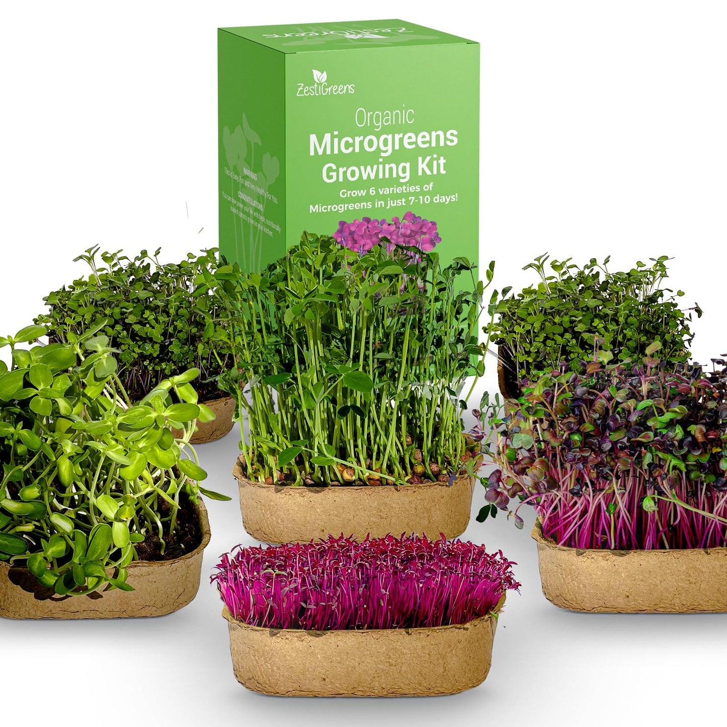 Microgreens Growing Kit with 6 of The Most Popular Seed Varieties. Christmas Gift Ideas for Gardeners