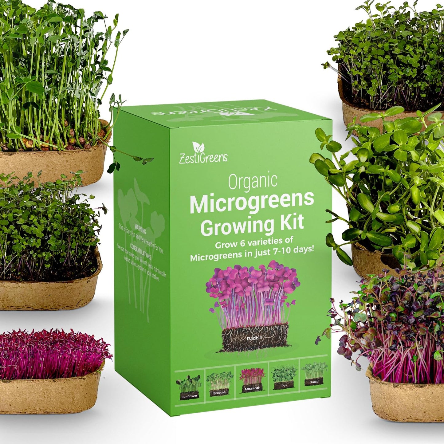 Microgreens Growing Kit with 6 of The Most Popular Seed Varieties. Christmas Gift Ideas for Gardeners