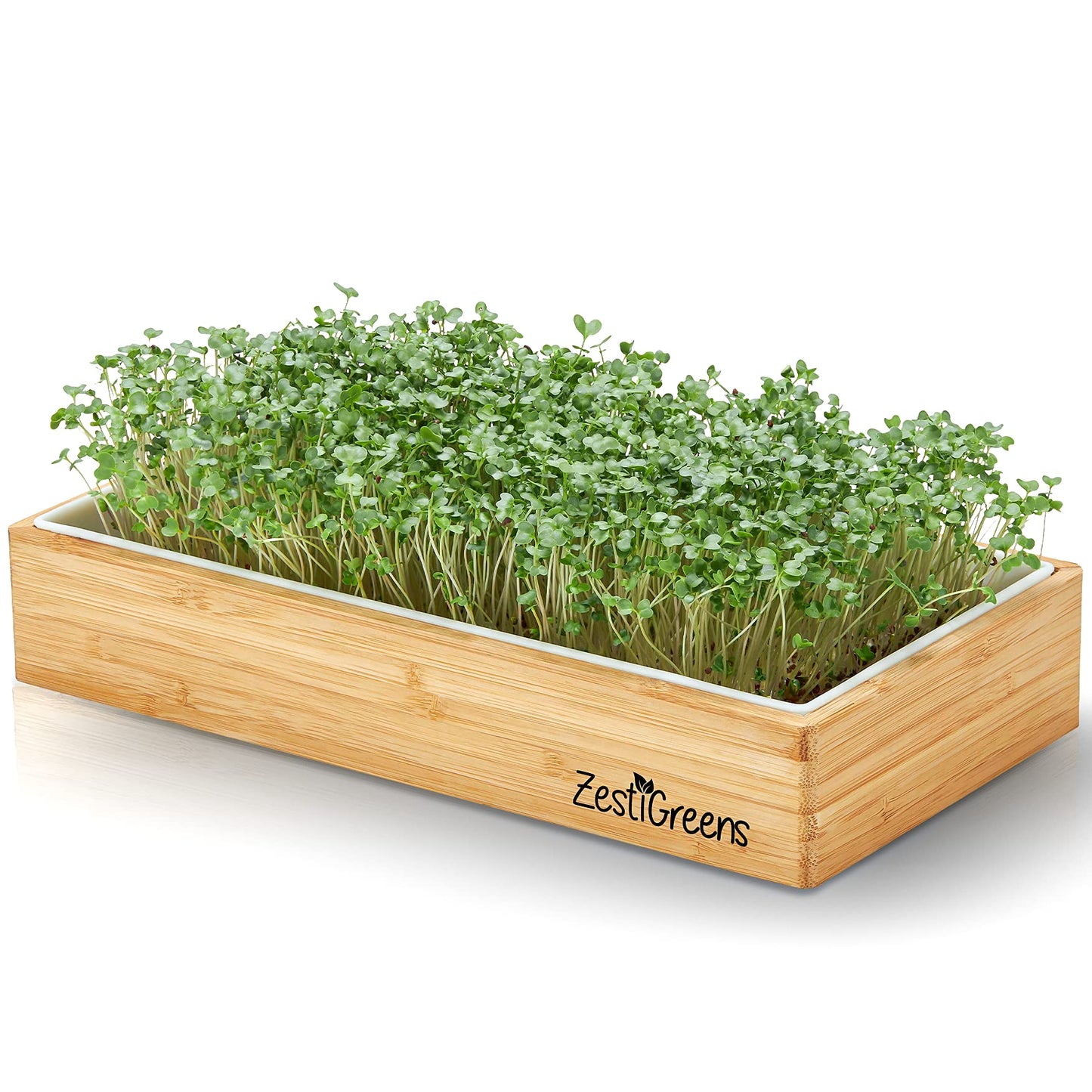 9-Seed Microgreens Refill Set